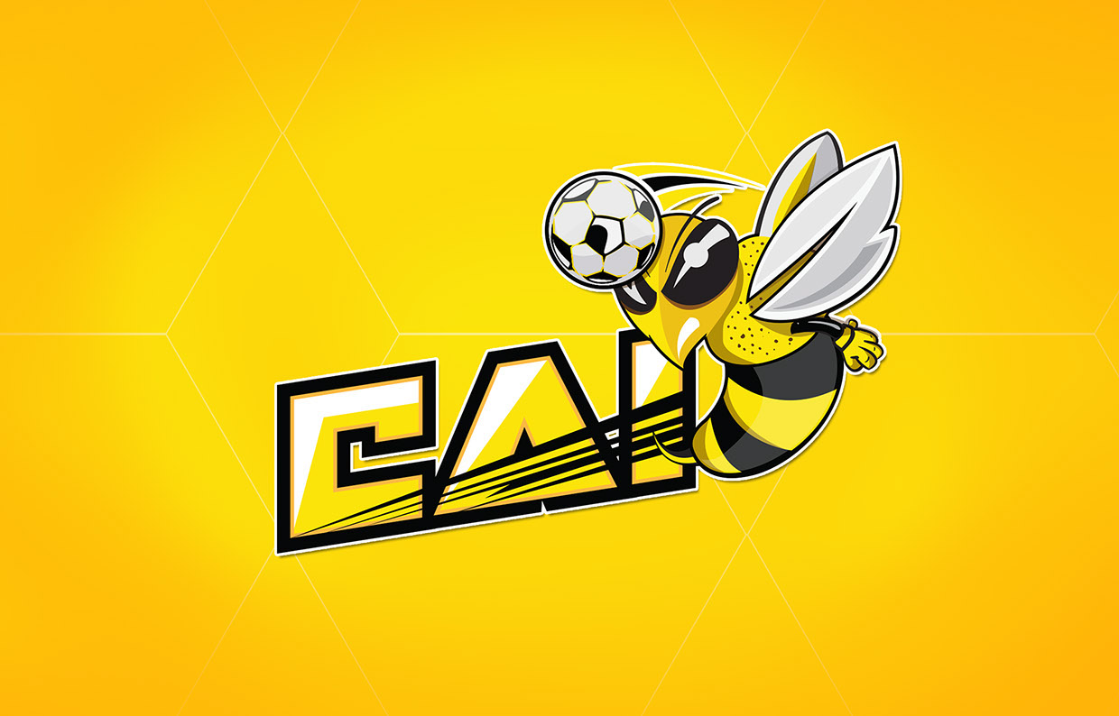 CAI品牌設(shè)計