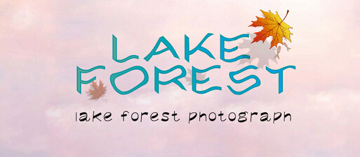 品牌設(shè)計公司的品牌整體打造