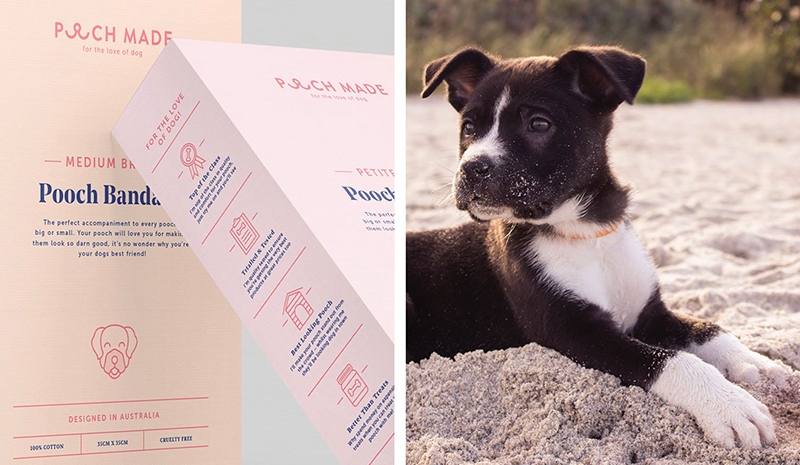 寵物用品包裝設(shè)計(jì)-寵物食品包裝設(shè)計(jì)-寵物糧食包裝設(shè)計(jì)-寵物營(yíng)養(yǎng)品包裝設(shè)計(jì)-寵物消毒水包裝設(shè)計(jì)-杭州專(zhuān)業(yè)的寵物用品包裝設(shè)計(jì)公司