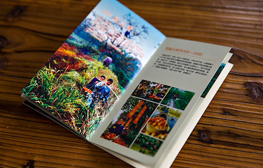 景點畫冊的內(nèi)容設計