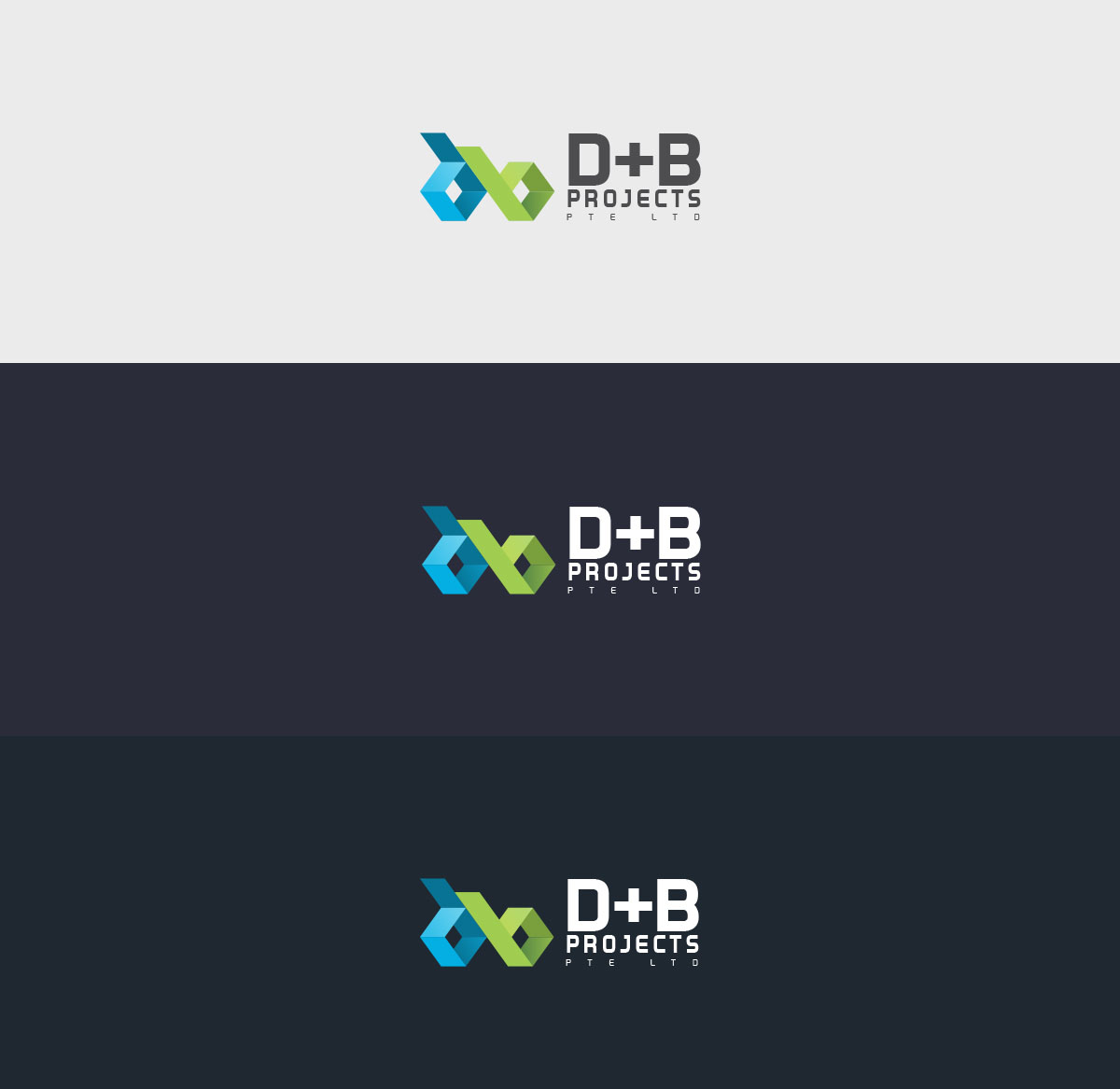 新加坡B+D建筑項目品牌設(shè)計