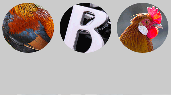 Bitreserve基金會(huì)品牌設(shè)計(jì)