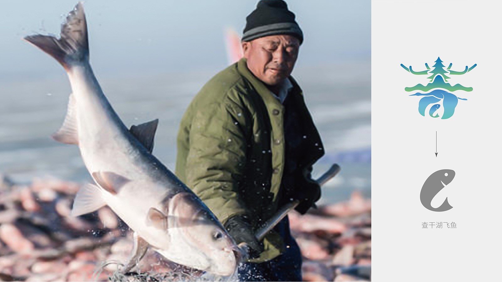 1626847159819778.jpg 1601955587798067.jpg