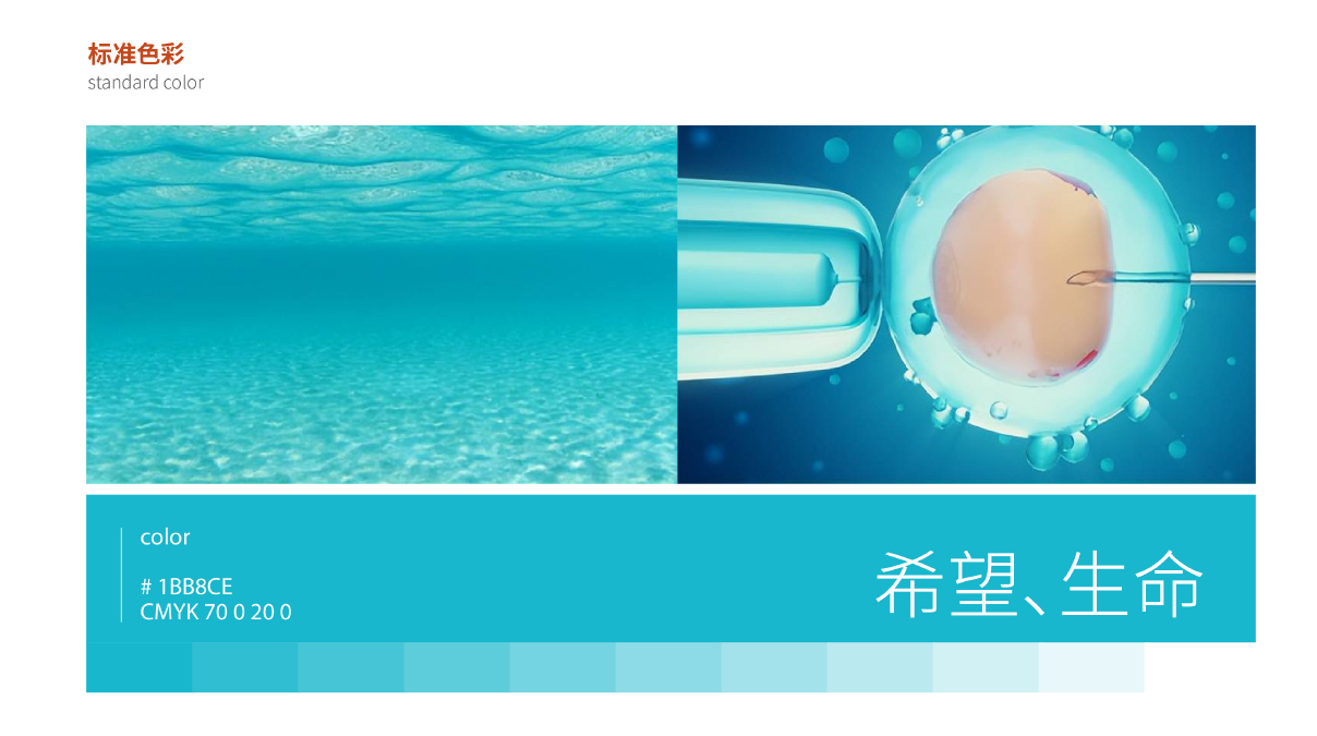 1657269018483932.png image.png