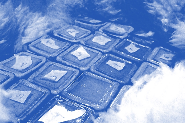 最為刺激的餐飲用品佐料，芥末醬產品包裝設計