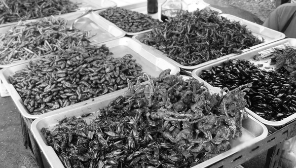 莫斯科昆蟲(chóng)“或葡萄酒”品牌包裝設(shè)計(jì)，不過(guò)看起來(lái)有點(diǎn)恐怖