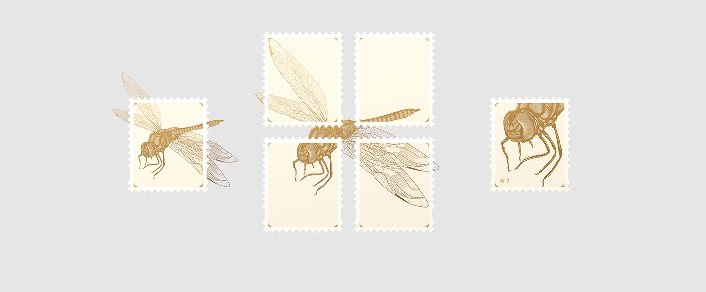 大自然的奇跡，蜻蜓主題的咖啡品牌包裝設計