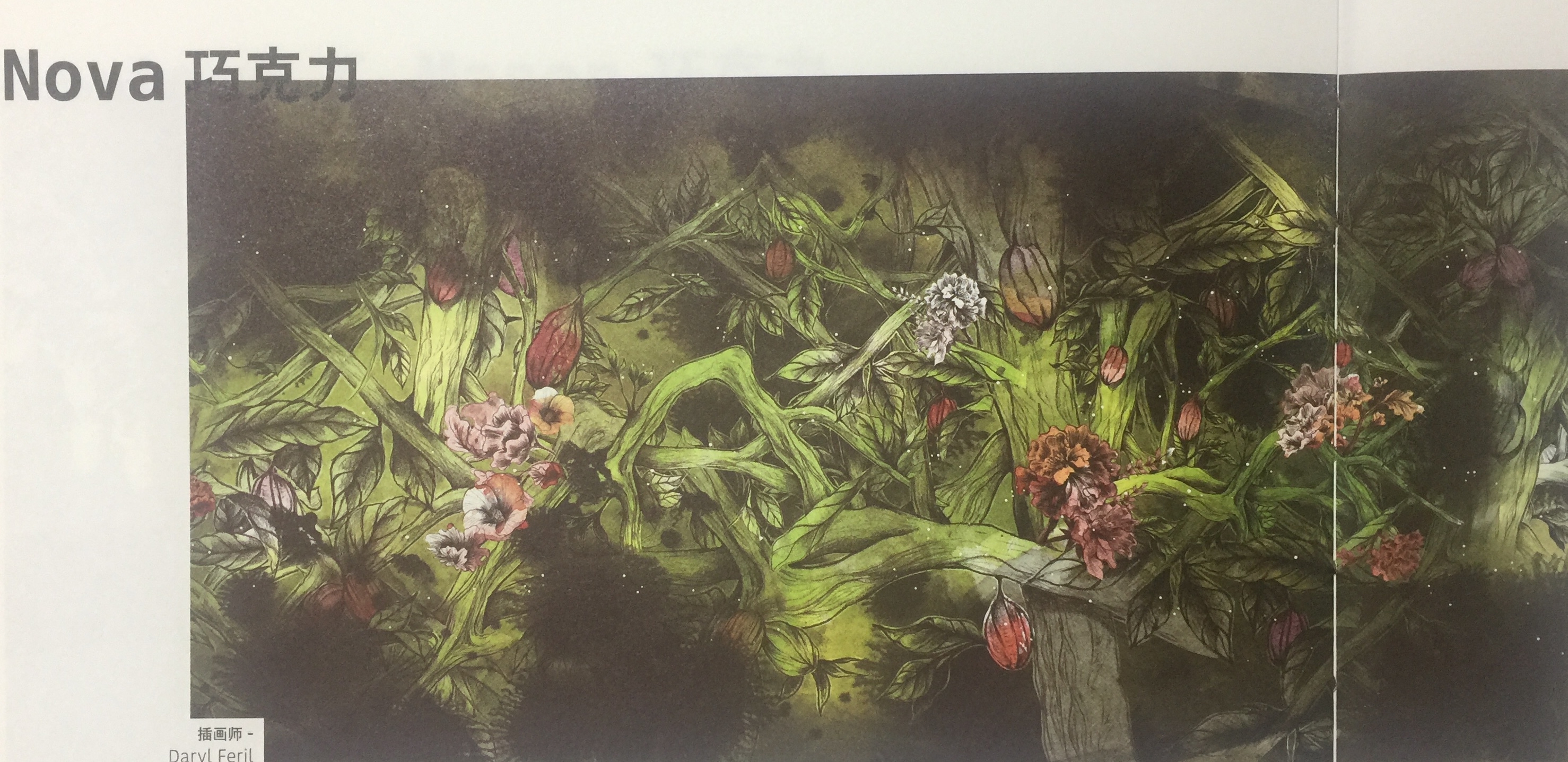 天然、綠色的休閑食品巧克力包裝設計