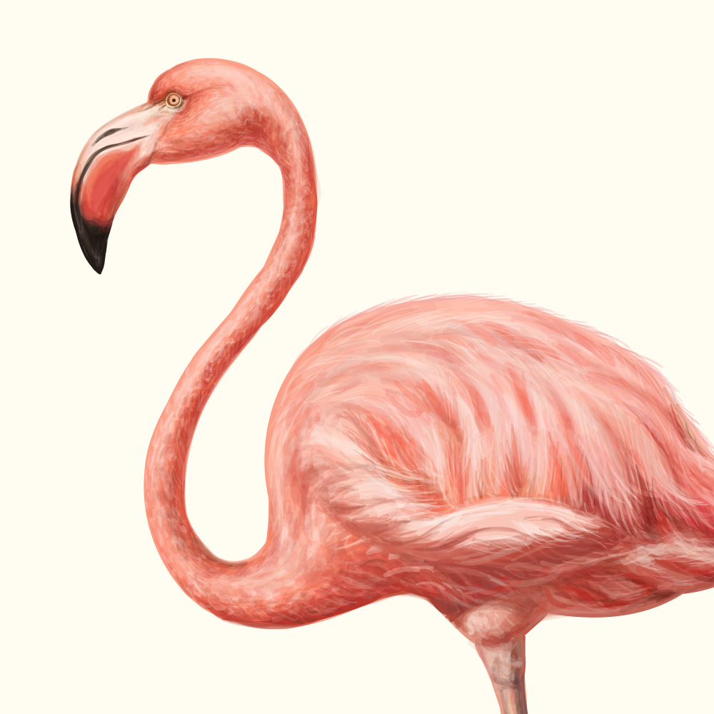 自然界野生動物來體現(xiàn)化妝品的純天然—護(hù)膚品包裝設(shè)計(jì)