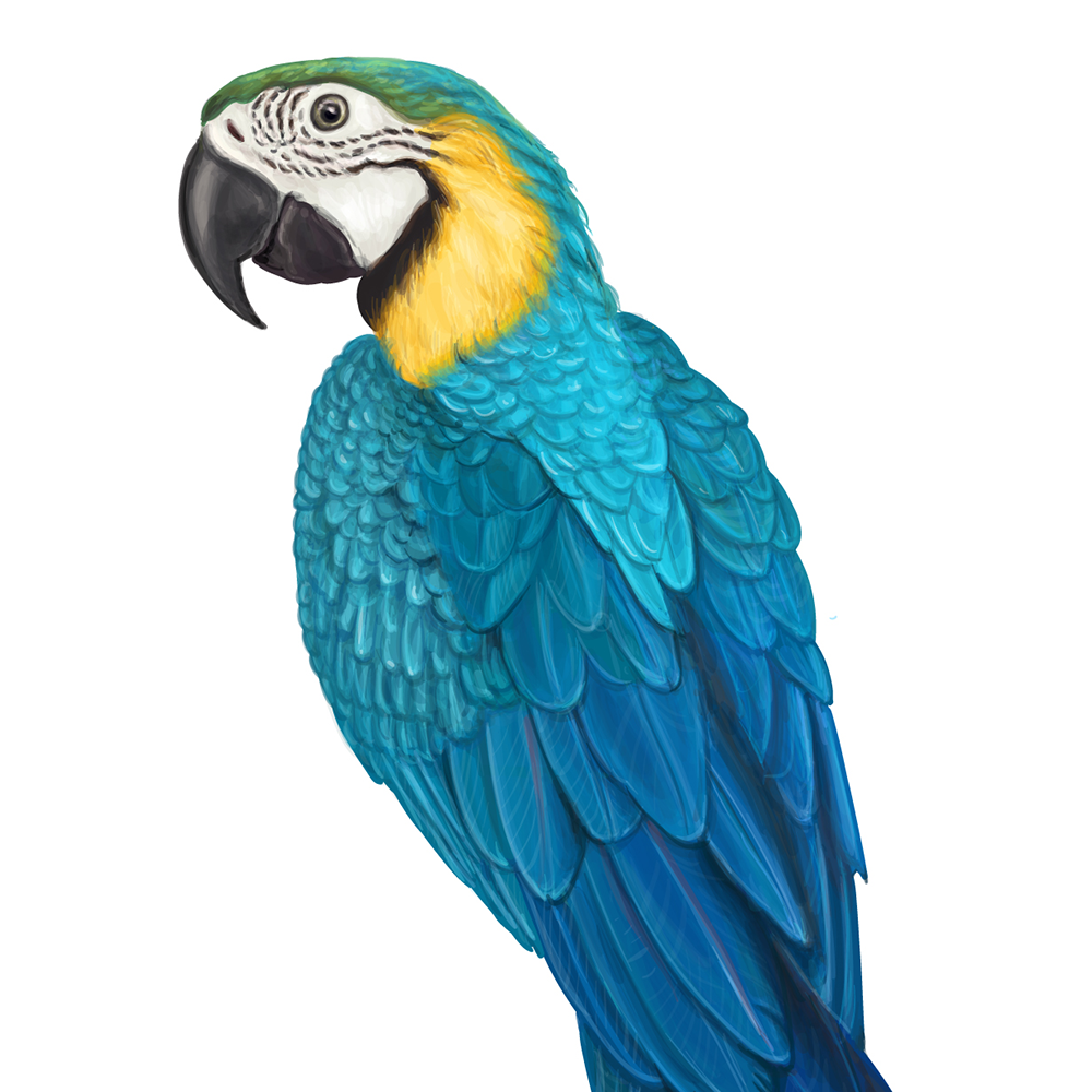 自然界野生動物來體現(xiàn)化妝品的純天然—護(hù)膚品包裝設(shè)計(jì)