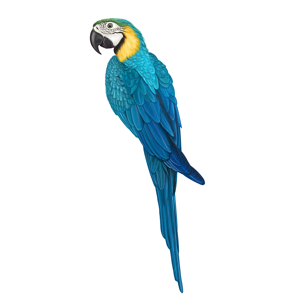 自然界野生動物來體現(xiàn)化妝品的純天然—護(hù)膚品包裝設(shè)計(jì)