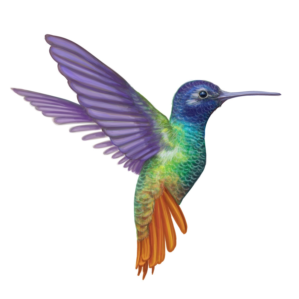 自然界野生動物來體現(xiàn)化妝品的純天然—護(hù)膚品包裝設(shè)計(jì)