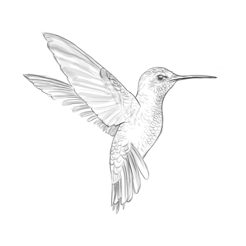 自然界野生動物來體現(xiàn)化妝品的純天然—護(hù)膚品包裝設(shè)計(jì)