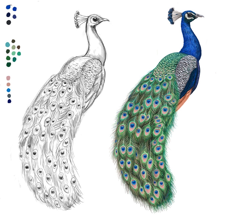 自然界野生動物來體現(xiàn)化妝品的純天然—護(hù)膚品包裝設(shè)計(jì)