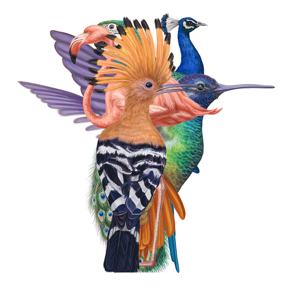 自然界野生動物來體現(xiàn)化妝品的純天然—護(hù)膚品包裝設(shè)計(jì)