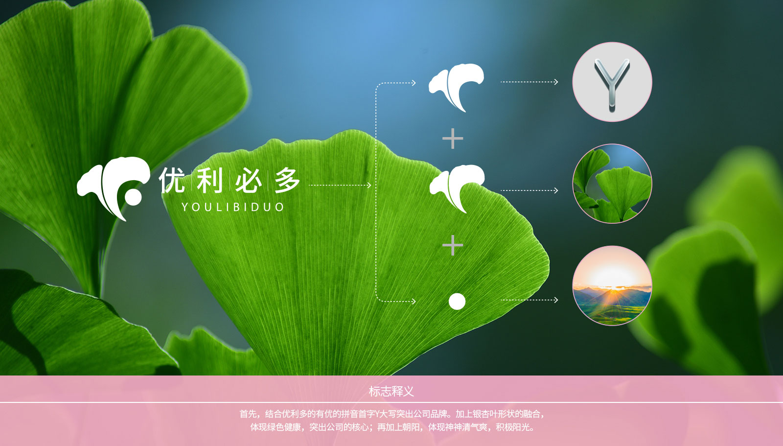 金康醫(yī)藥品牌策劃設計一次性通過