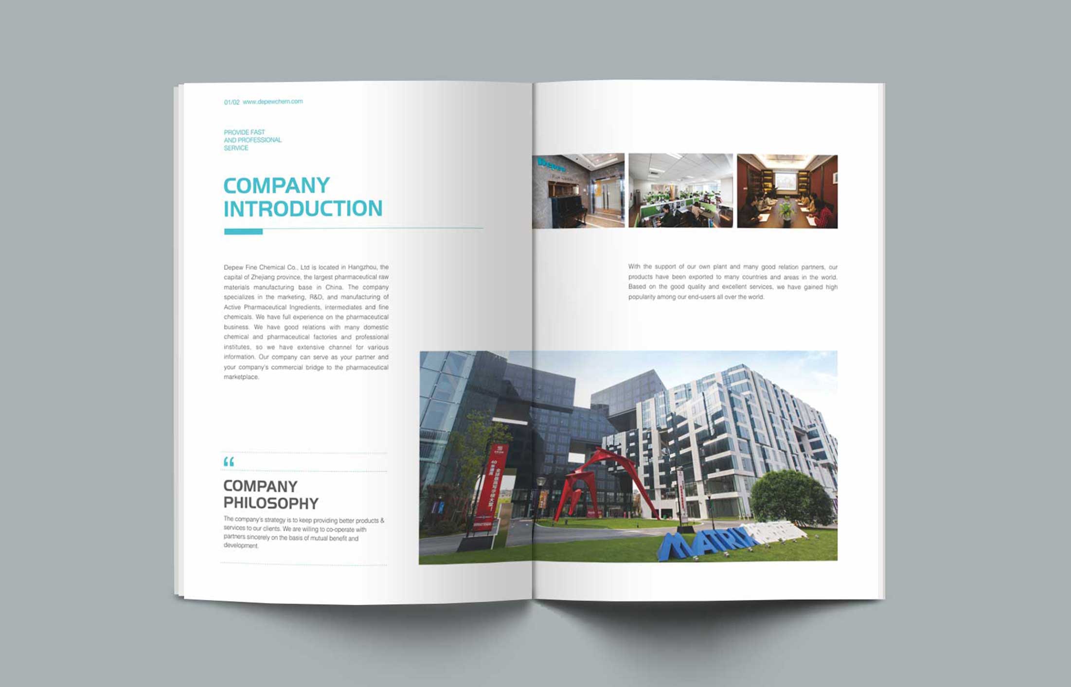德普精細(xì)化工宣傳冊(cè)