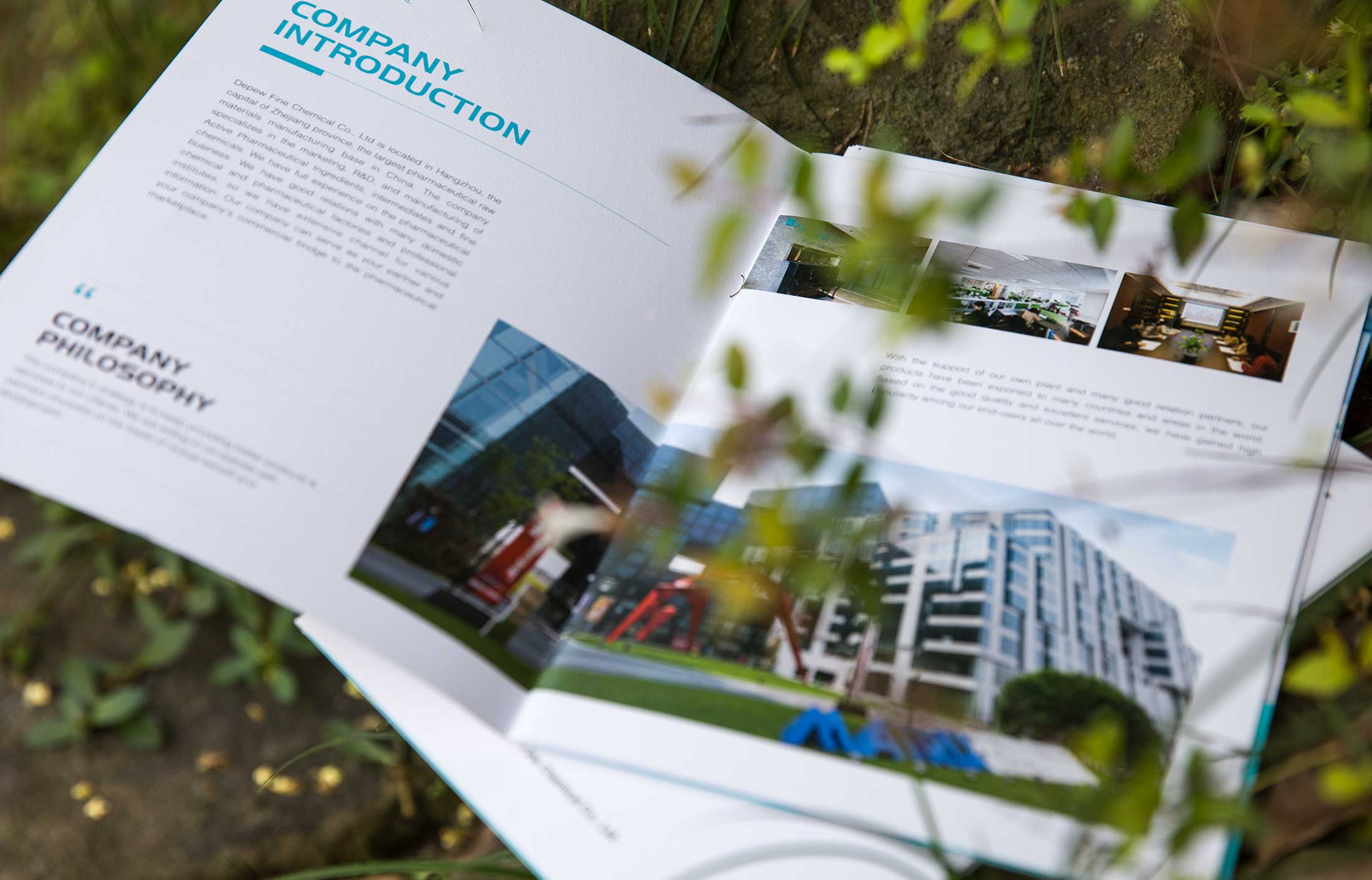 德普精細(xì)化工宣傳冊(cè)