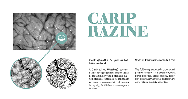 藥品包裝設(shè)計(jì) 藥品包裝設(shè)計(jì)